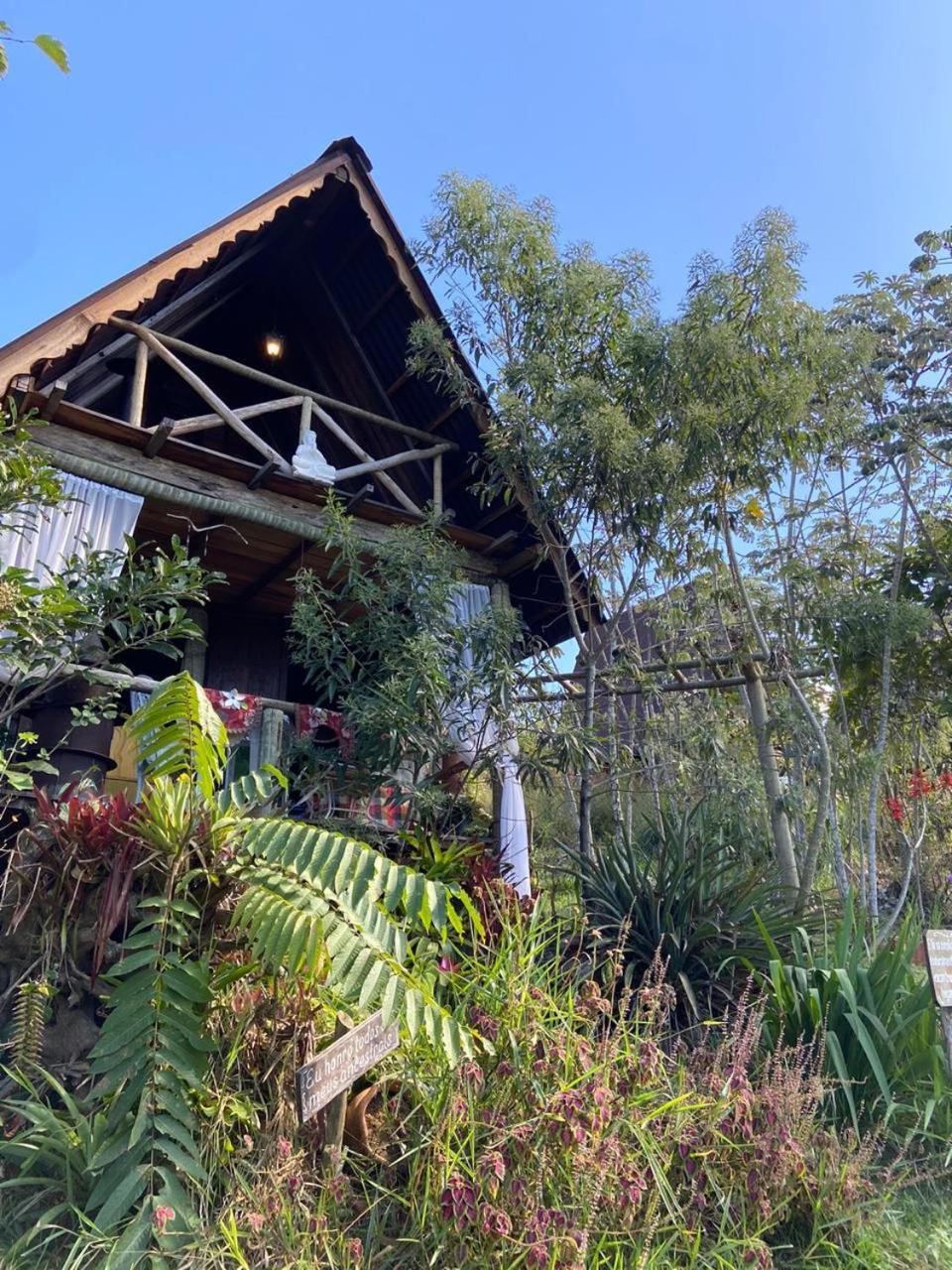 Cabana Aroeira - Reserva Religare Итатиая Номер фото
